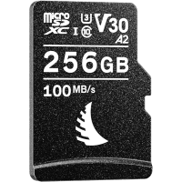 Produktbild för Angelbird microSD AV PRO (V30) 256GB