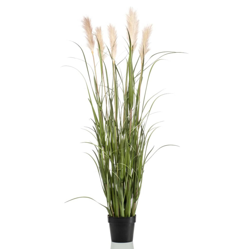 Produktbild för Emerald Konstväxt pampasgräs i kruka 160 cm