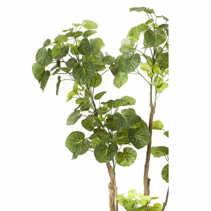 Produktbild för Emerald Konstgjord växt Polyscias träd 135 cm 420292