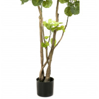 Miniatyr av produktbild för Emerald Konstgjord växt Polyscias träd 135 cm 420292