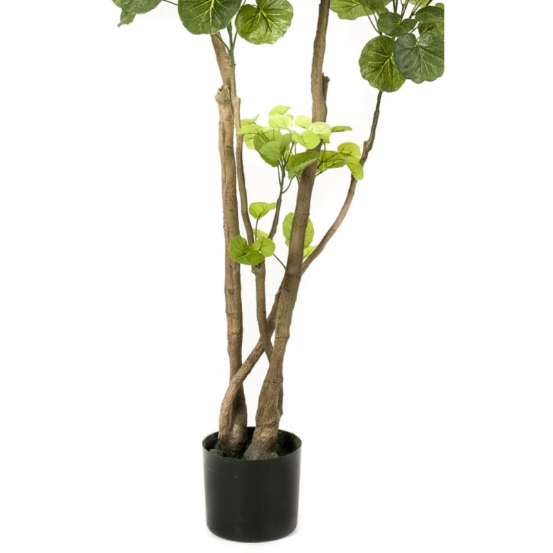 Produktbild för Emerald Konstgjord växt Polyscias träd 135 cm 420292