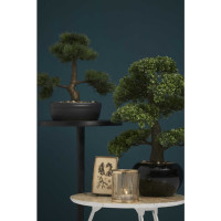 Produktbild för Emerald Konstväxt bonsaiträd fikus mini grön 47 cm 420006