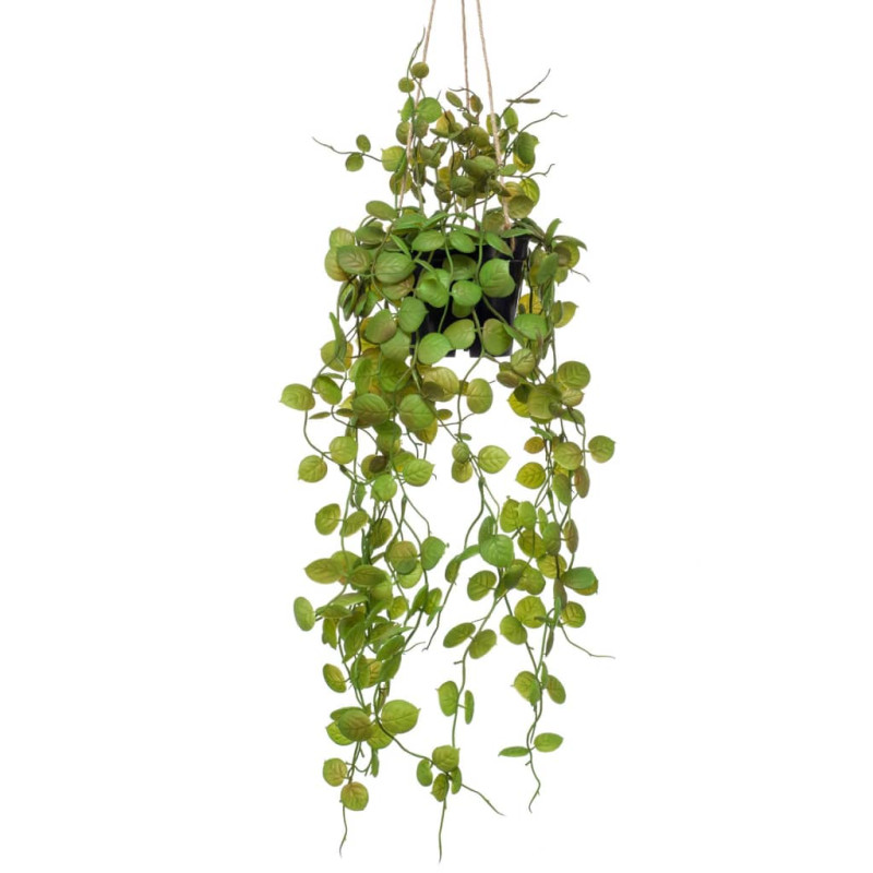 Produktbild för Emerald Konstväxt ceropegia i kruka hängande 50 cm