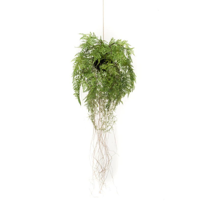 Produktbild för Emerald Konstväxt hängande ormbunke med rötter 35 cm