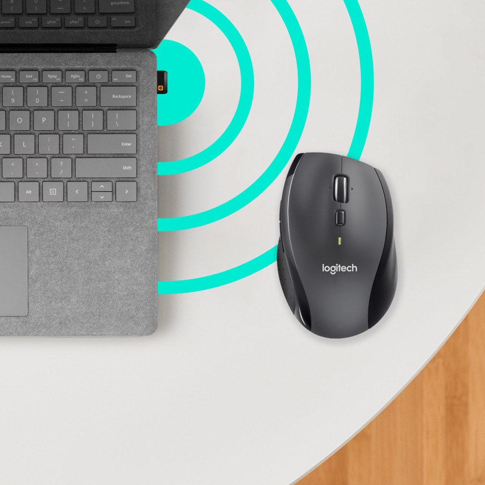 Produktbild för Logitech Customizable Mouse M705 datormöss högerhand RF Trådlös Optisk 1000 DPI