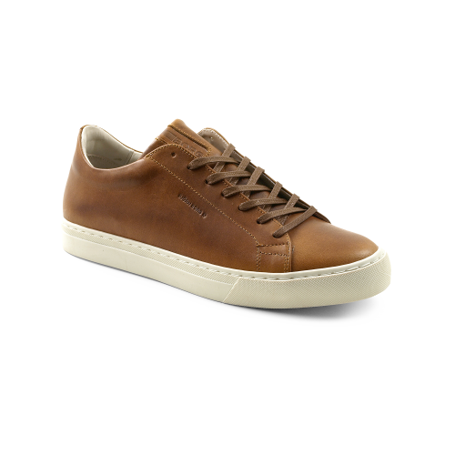 Björn Borg Jorden Shoe Brown Male