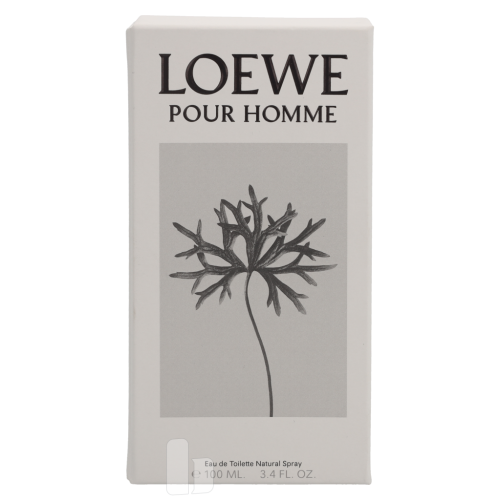 Loewe Loewe Pour Homme Edt Spray