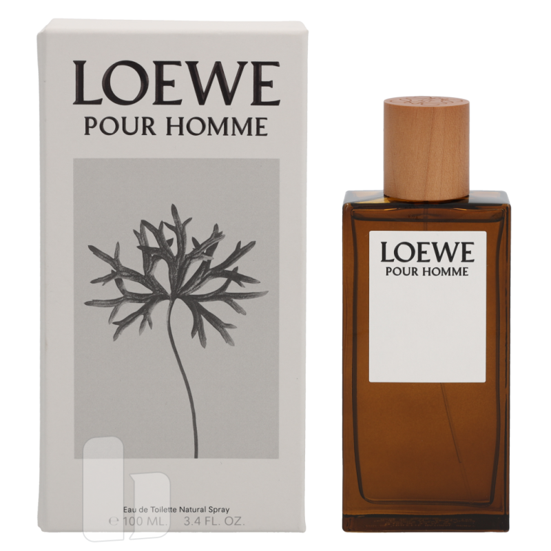Produktbild för Loewe Pour Homme Edt Spray