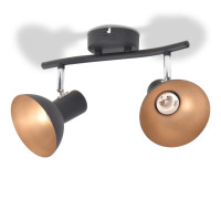 Produktbild för Taklampa för 2 lampor E27 svart och guld