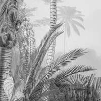 Produktbild för Komar Fototapet Lac Tropical Black & White 200x270 cm