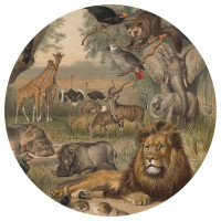 Miniatyr av produktbild för WallArt Tapet cirkelformad Animals of Africa 190 cm