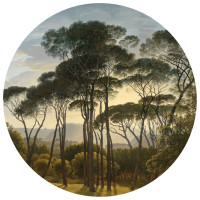 Produktbild för WallArt Tapet cirkelformad Umbrella Pines in Italy 142,5 cm