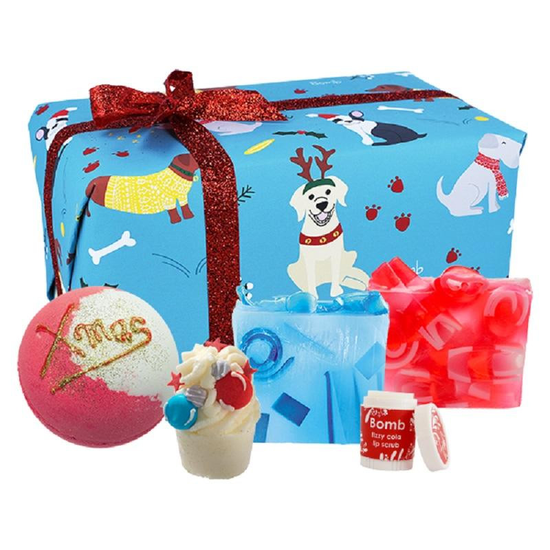 Produktbild för Santa Paws Gift Box