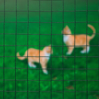 Miniatyr av produktbild för Nature Ståltrådsnät fyrkantig 1x5 m 25 mm plastbelagd stål grön