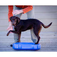 Produktbild för FitPAWS Balansplatta för husdjur K9FITbone PVC himmelsblå