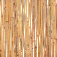 Produktbild för Staket bambu 500x50 cm