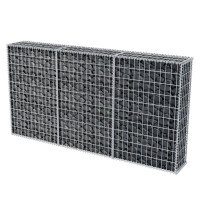Produktbild för Gabionkorg galvaniserat stål 200x30x100 cm