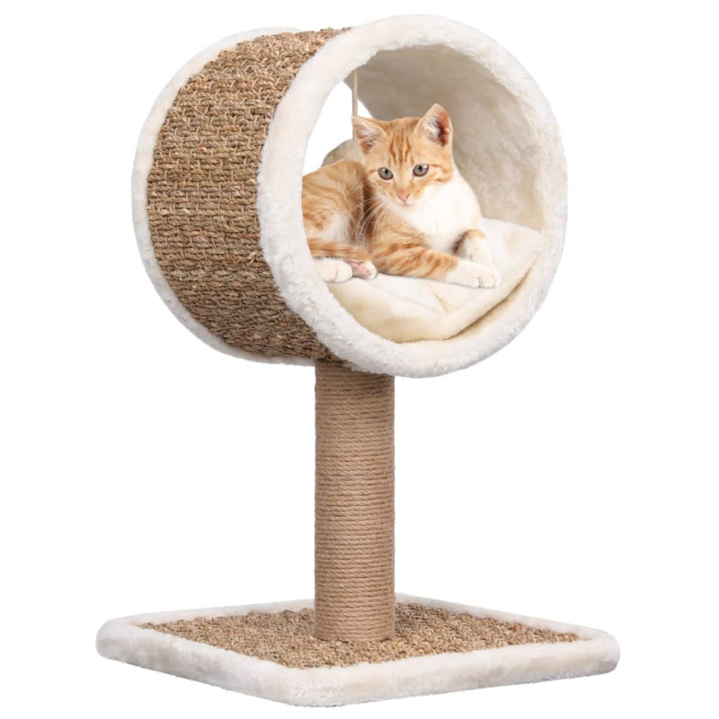 Produktbild för Kattmöbel med tunnel och leksak 56 cm sjögräs