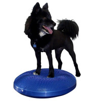 Produktbild för FitPAWS Balansplatta för hund 56 cm blå