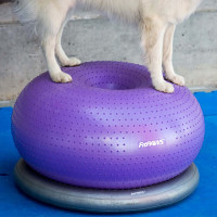 Produktbild för FitPAWS Donuthållare 63 cm grå