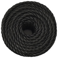 Produktbild för Rep svart 10 mm 25 m polypropen