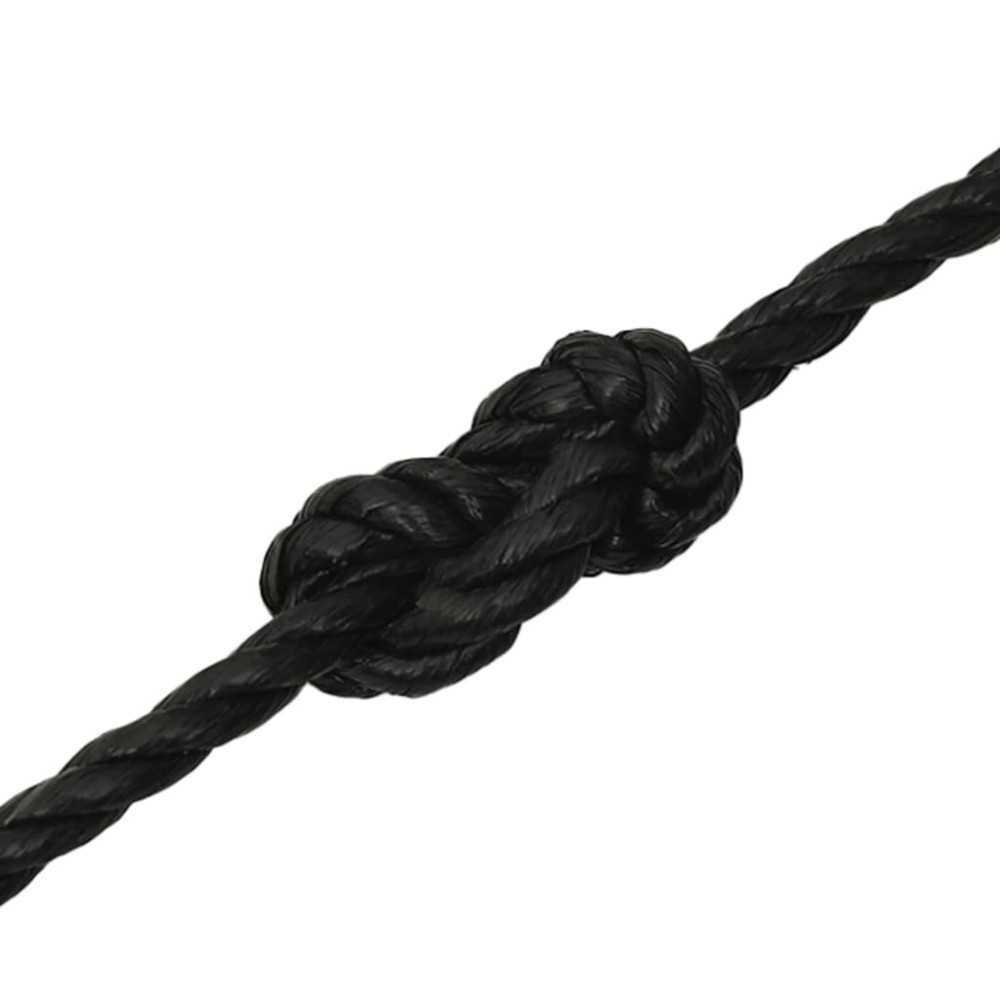 Produktbild för Rep svart 10 mm 25 m polypropen