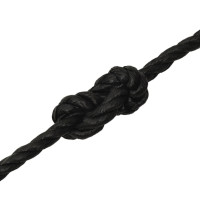 Produktbild för Rep svart 10 mm 25 m polypropen