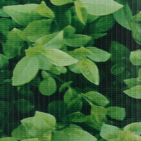 Produktbild för Insynsskydd för trädgården 4 st PVC 35x0,19 m grön