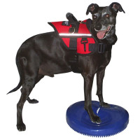 Produktbild för FitPAWS Balansplatta för hund 36 cm blå