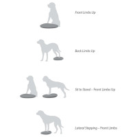 Produktbild för FitPAWS Balansplatta för hund 36 cm blå