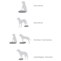 Produktbild för FitPAWS Balansplatta för hund 36 cm lila