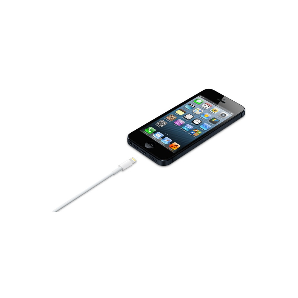 Produktbild för Apple MD818ZM/A belysningskabel 1 m Vit