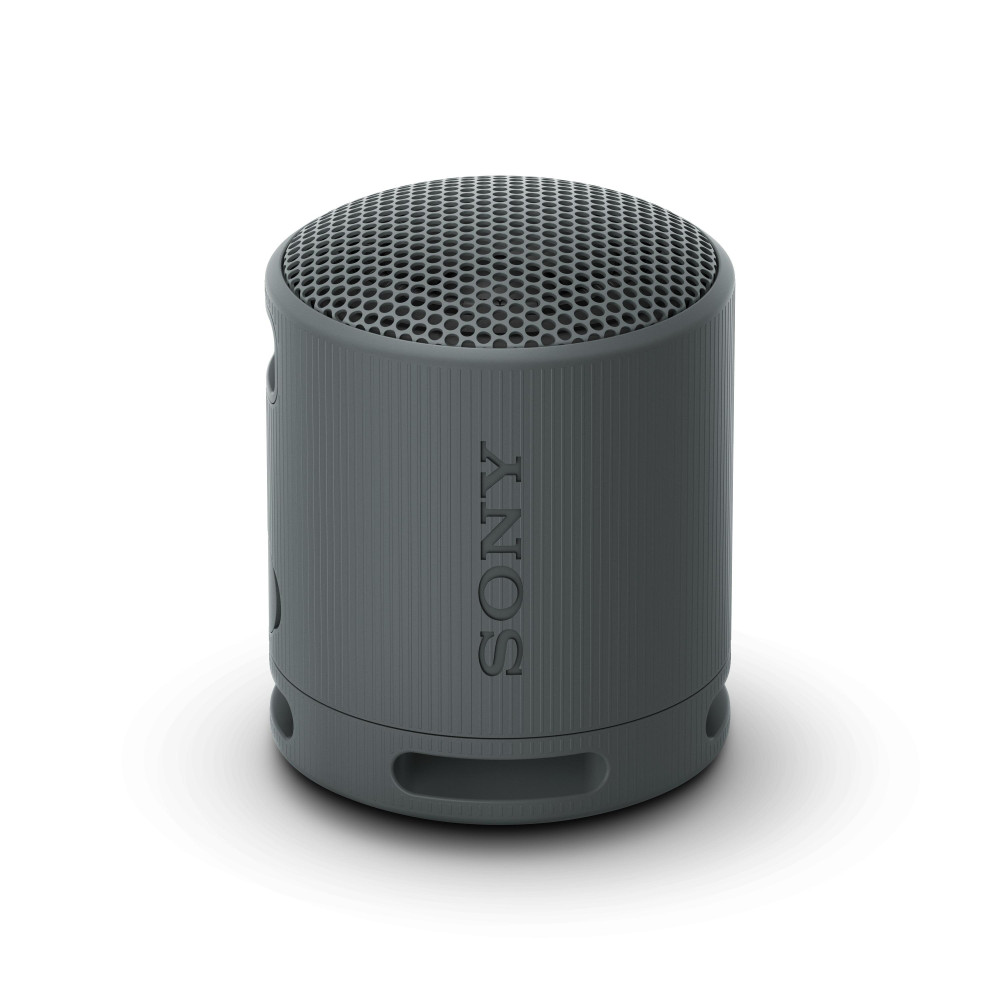 Produktbild för Sony SRS-XB100 Bärbar monohögtalare Svart