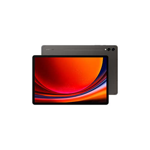 SAMSUNG Samsung Galaxy Tab S9+ SM-X810N 256 GB 31,5 cm (12.4") Qualcomm Snapdragon 12 GB Wi-Fi 6 (802.11ax) Android 13 grafit