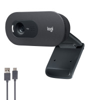 Produktbild för Logitech C505 HD webbkameror 1280 x 720 pixlar USB Svart