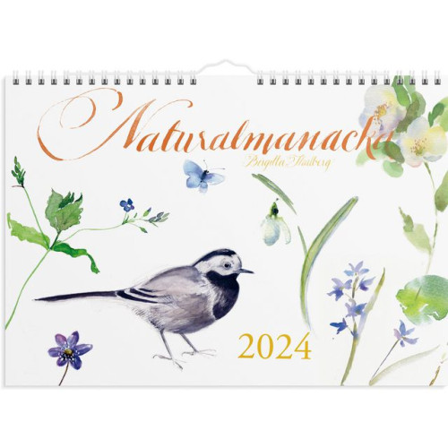 Burde Väggkalender Naturalmanacka - 1728