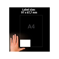 Produktbild för Etikett AVERY 97x67,7mm 800/fp