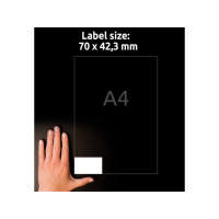 Produktbild för Etikett AVERY 70x42,3mm 2100/fp