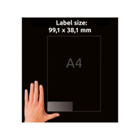 Produktbild för Etikett AVERY transp 99,1x38,1mm 350/fp