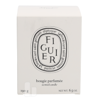 Produktbild för Diptyque Figuier Scented Candle