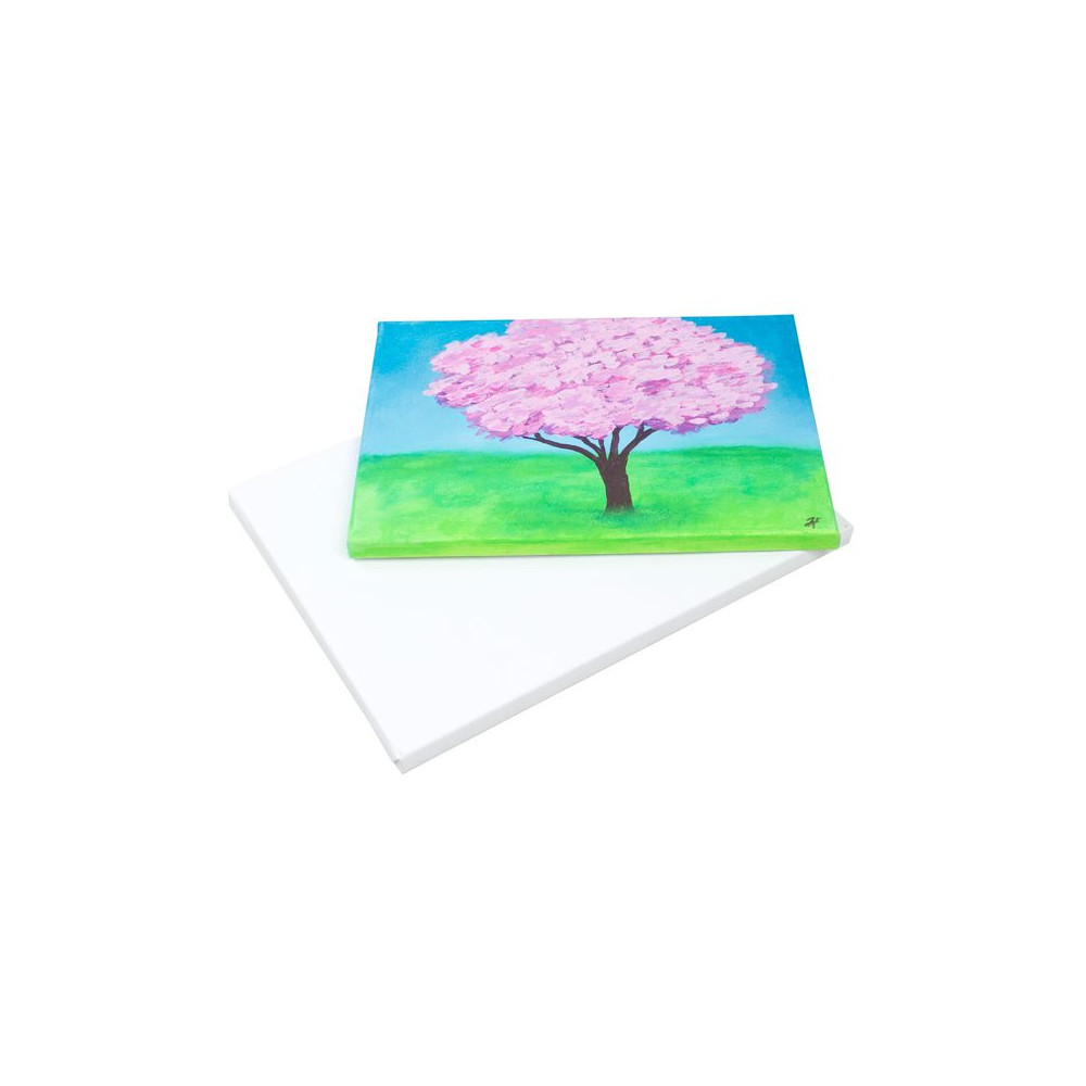 Produktbild för Målarduk 20x20x1,7 cm 10/fp