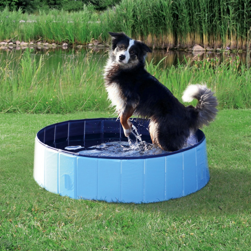 Produktbild för TRIXIE 39481 lekpool för hundar Hård pool för husdjur