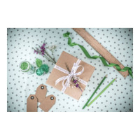 Produktbild för Brother TZe-R234 - bandtejp - 1 kassett(er) - Rulle (1,2 cm x 4 m)