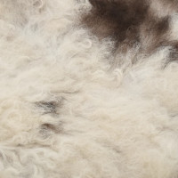 Produktbild för Fårskinn flerfärgad (60-70)x(90-100) cm