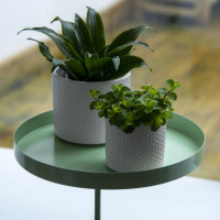 Produktbild för Esschert Design Växtbricka med klämma rund grön L