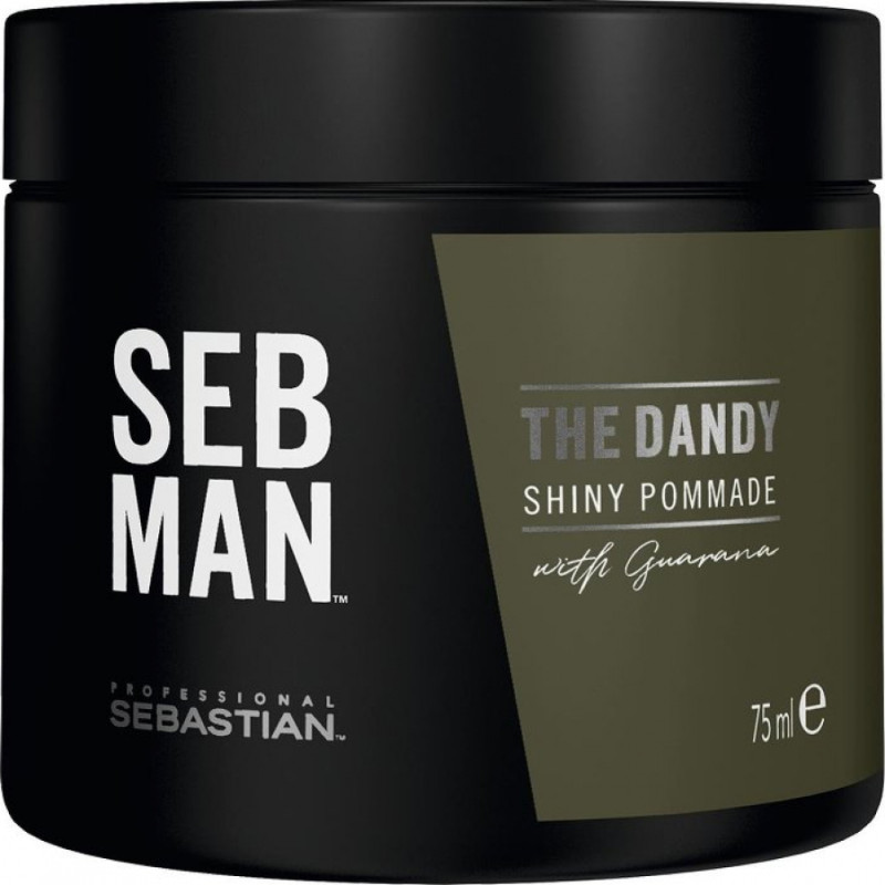 Produktbild för Sebastian Sebman The Dandy Shiny Pommade Hårvax 75 ml
