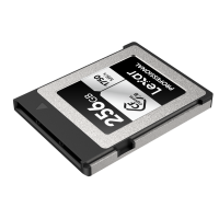 Produktbild för Lexar CFexpress Pro Silver Serie R1750/W1300 256GB