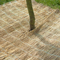 Produktbild för Nature Växtskydd rishalm 1x1,5 m  6030105