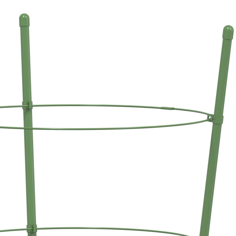 Produktbild för Växtstöd med 3 ringar 5 st grön 60 cm stål