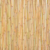 Produktbild för Staket bambu 300x100 cm